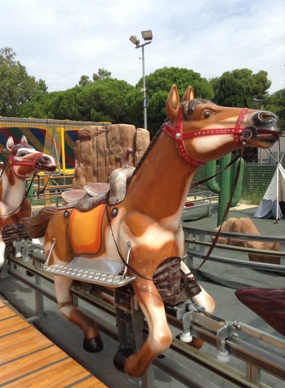 Race Horse