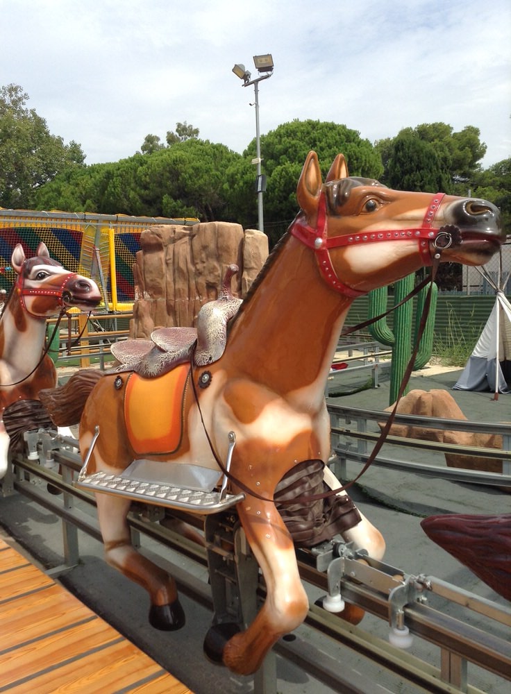 Race Horse
